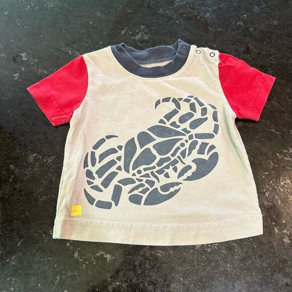 3 Tea Collection Screen Print Raglan T-Shirts, GUC, Sz XS (3-6mo) (AA2) - Picture 4 of 7